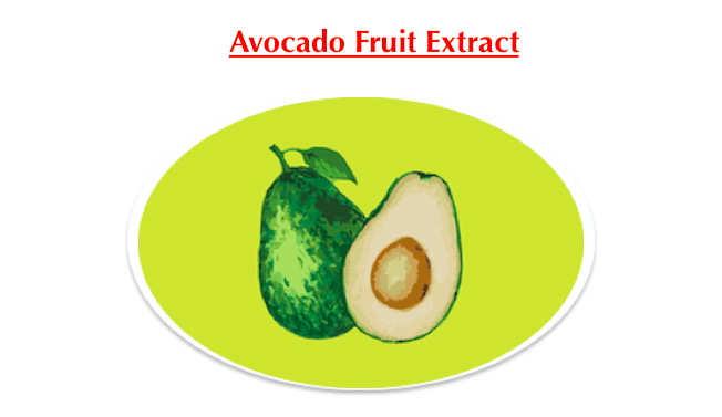 avocado_mask_fruit_extract_30082023